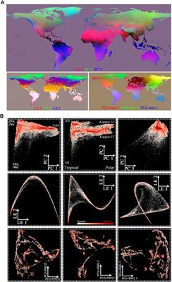Joint Characterization of Spatiotemporal Data Manifolds